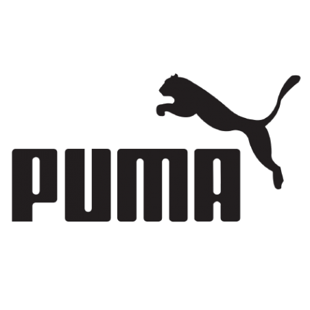 Divers Puma
